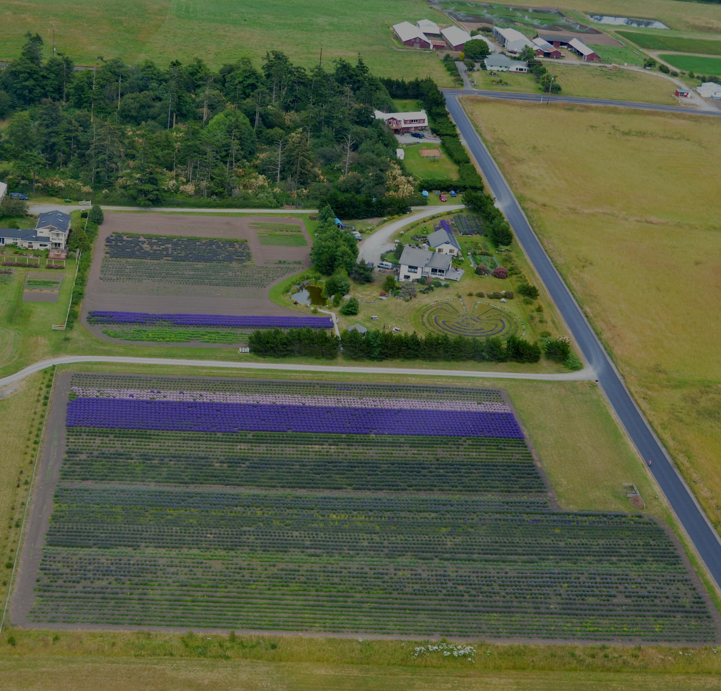 Farm Arial View