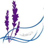 LW Logo with Plane
