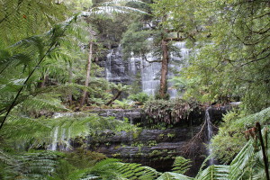 Mt Field Russell Falls