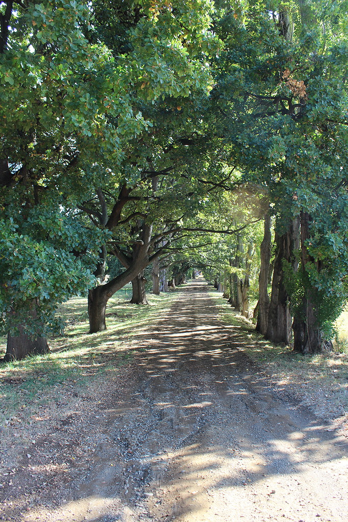 Redlands Driveway