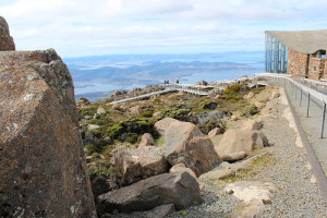 Top of kunanyi/Mt Wellington